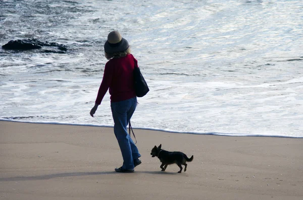 Dog owner walks his dog — Stock Photo, Image