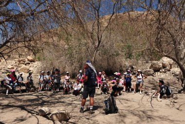 Ein gedi lente - Israël