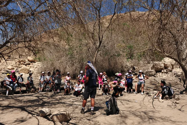 Ein Gedi Spring - Israel — Stock Photo, Image