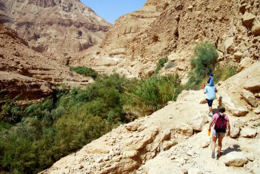 Ein gedi lente - Israël