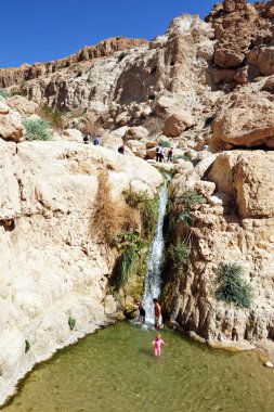 Ein gedi lente - Israël