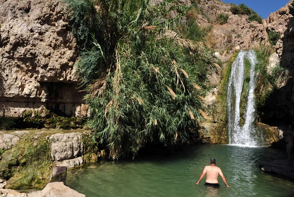 Ein gedi άνοιξη - Ισραήλ — Φωτογραφία Αρχείου