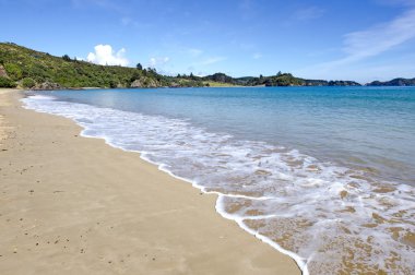 whangaroa - Yeni Zelanda