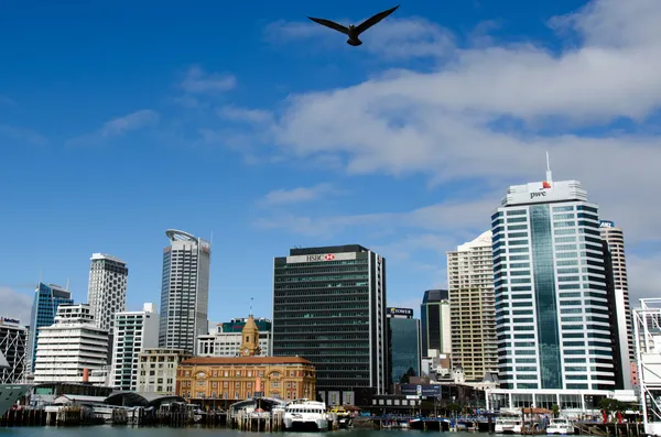 Auckland Paisaje urbano — Foto de Stock