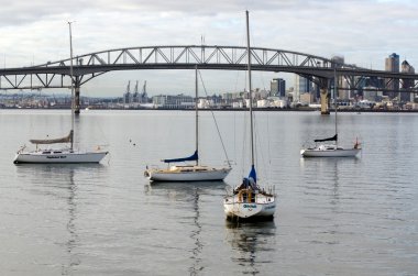 Auckland harbour Köprüsü