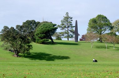 Auckland etki alanı