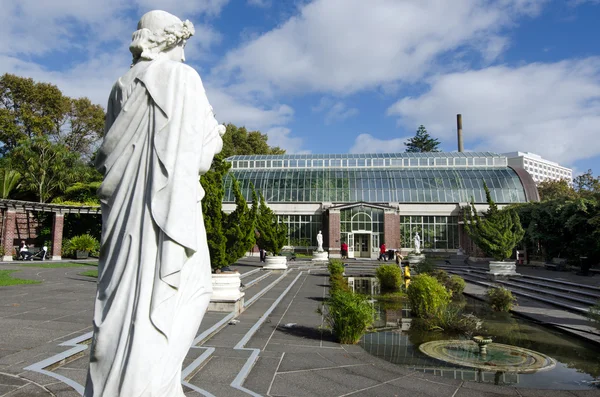 Auckland botanické zahrady — Stock fotografie