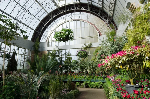 Giardini botanici di Auckland — Foto Stock