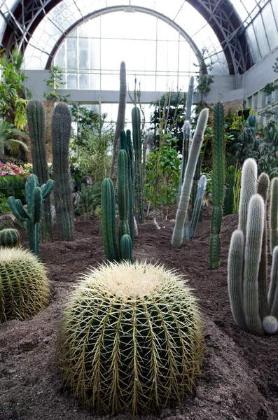 Auckland Botanical Gardens — Stock Photo, Image