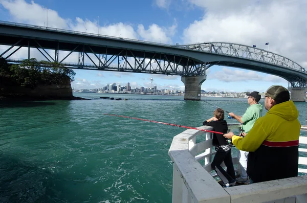 Ponte del porto di Auckland — Foto Stock