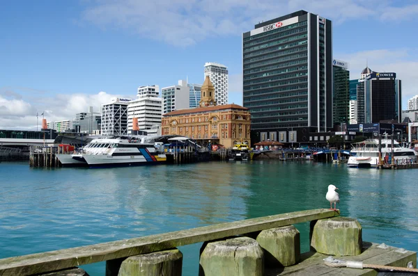 Auckland feribot terminaline — Stok fotoğraf