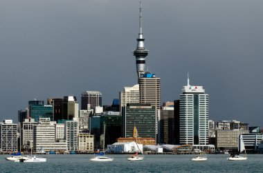 Auckland manzarası