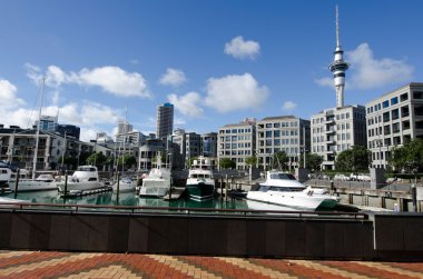 Auckland Viyadüğü liman Havzası