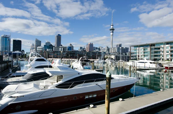 Auckland Viaduct Harbor Basin — Stock Photo, Image