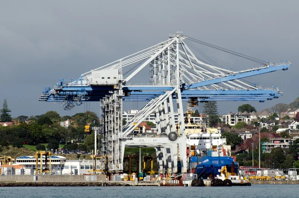 Puertos de Auckland — Foto de Stock