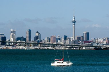 Auckland manzarası