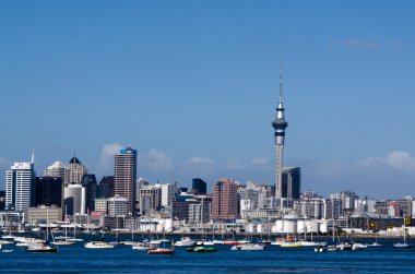 Auckland manzarası