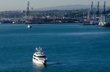 Auckland bağlantı noktaları