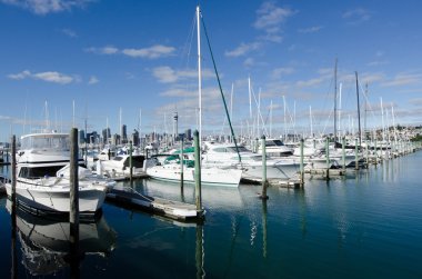 Westhaven Marina - Auckland