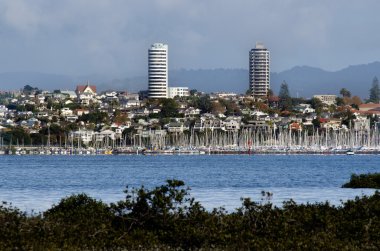 Auckland - Ponsonby clipart