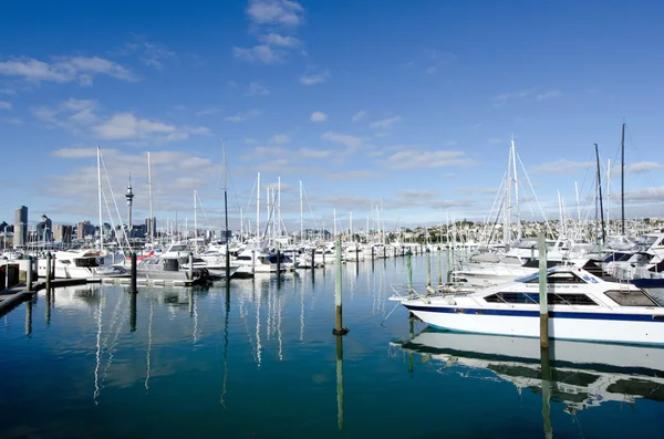 Westhaven Marina - Auckland — Stock Photo, Image