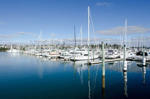 Westhaven Marina - Auckland — Zdjęcie stockowe