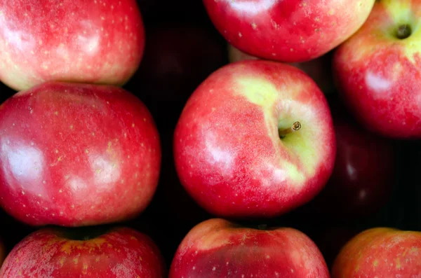 Apple - Fruit — Stock Photo, Image