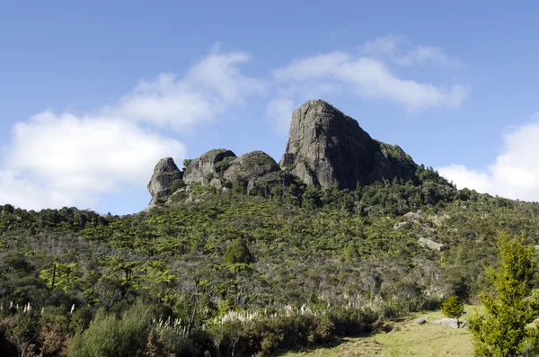 Monte Taratara - Nuova Zelanda — Foto Stock