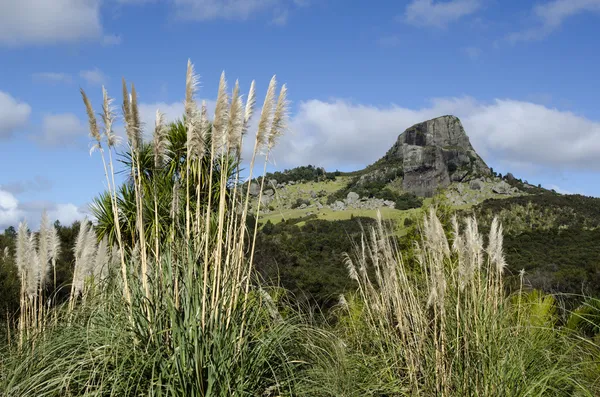 Mount taratara - Nieuw-Zeeland — Stockfoto