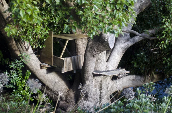 Tree Playhouse