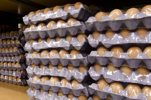Яйца в лотках — стоковое фото