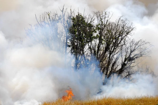 Incêndio — Fotografia de Stock