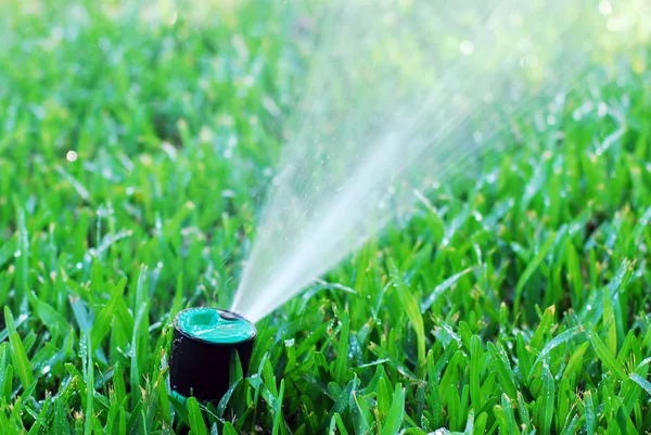 Irrigação do jardim — Fotografia de Stock