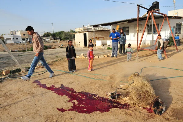 Fête islamique - Fête du sacrifice — Photo