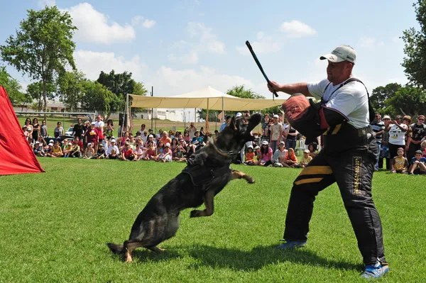 Politiehond — Stockfoto