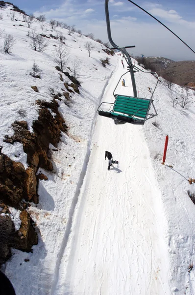 MT hermon - Israël — Stockfoto