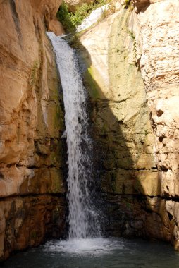 Ein gedi oasis - İsrail