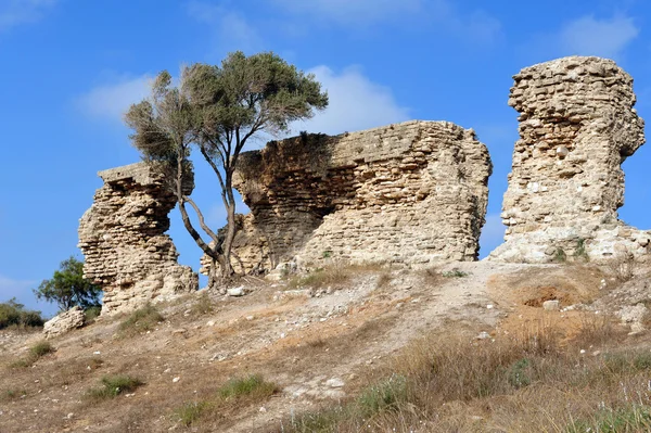 Ashkelon Nemzeti Park — Stock Fotó