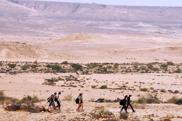 El desierto del Neguev - Israel — Foto de Stock