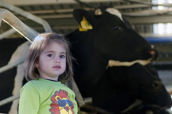 Farm girl in cow milking facility