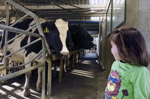 Farm girl in cow milking facility — Stock Photo, Image