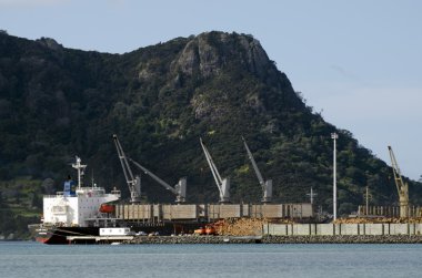 northport - Yeni Zelanda