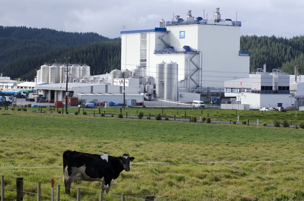 Grupo cooperativo Fonterra limitada — Foto de Stock