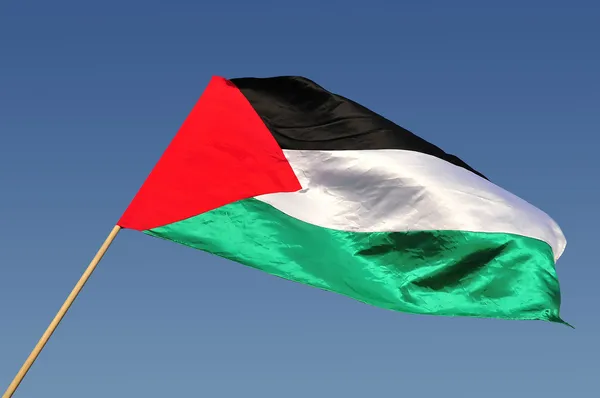 Palestinian flag — Stock Photo, Image