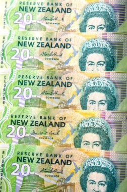 Yeni Zelanda para birimi dolar notlar ve para sikke