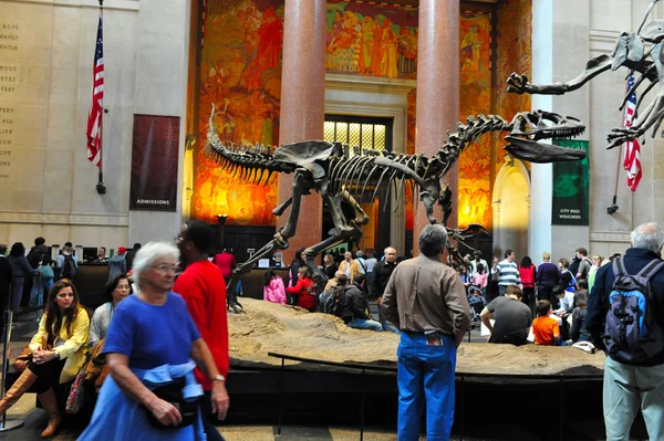 Museo Americano de Historia Nacional — Foto de Stock