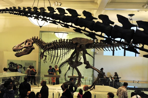 Museo Americano de Historia Nacional — Foto de Stock