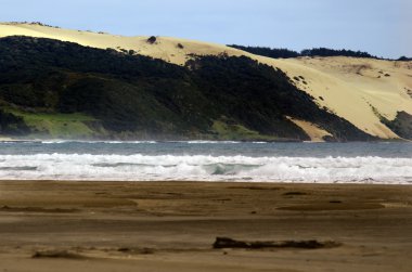 doksan kilometre beach - Yeni Zelanda