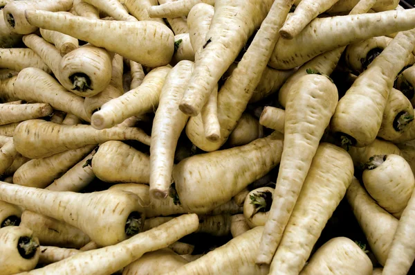 Parsnip — Stock Photo, Image