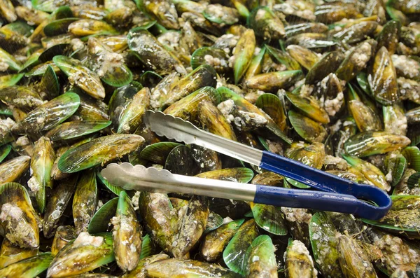 Mussels — Stock Photo, Image